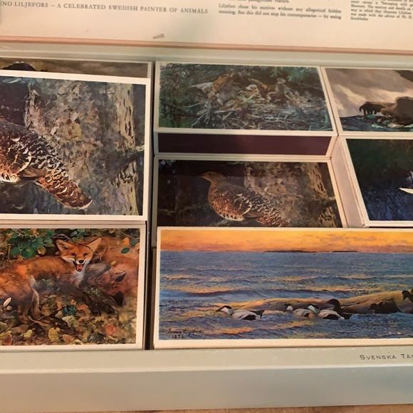 [The Swedish Match Company] Box of Matches - Picture 6 of 8